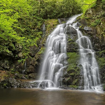 Highland Dream, Hot Tub, 1089 Free Tickets Each Paid Day, Dollywood And More 塞维尔维尔 外观 照片