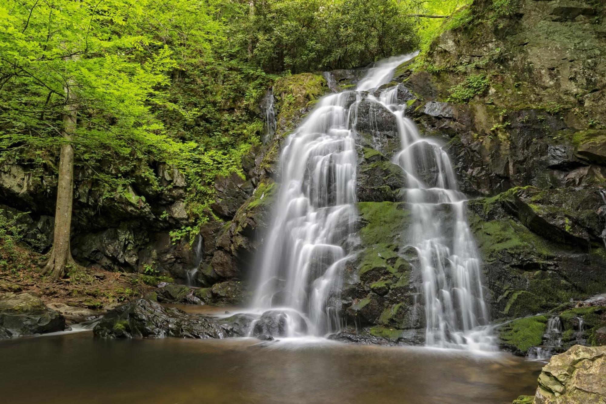 Highland Dream, Hot Tub, 1089 Free Tickets Each Paid Day, Dollywood And More 塞维尔维尔 外观 照片