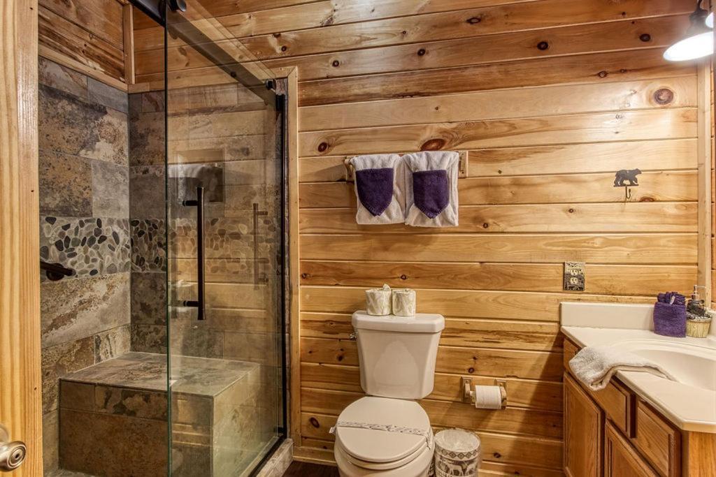 Highland Dream, Hot Tub, 1089 Free Tickets Each Paid Day, Dollywood And More 塞维尔维尔 客房 照片